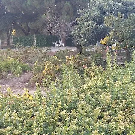 Quinta Das Amendoeiras * Palmela