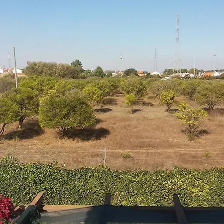 Pensión Quinta Das Amendoeiras